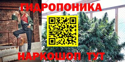 СК Рыбинск